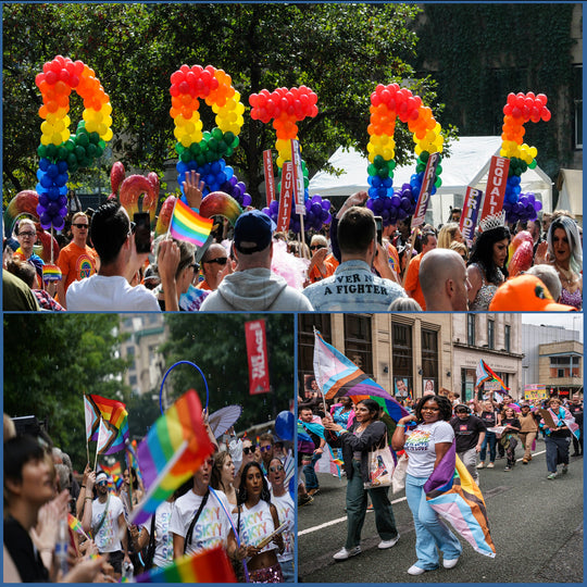 Progress Pride LGBTQ 3×5Ft Outdoor Flag